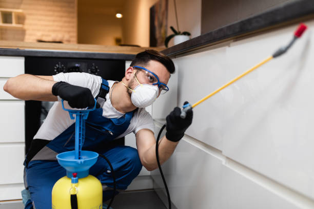 Best Termite Control Services  in Marseles, IL