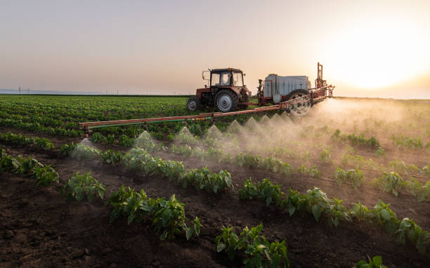 Best Pest Control for Businesses  in Marseles, IL