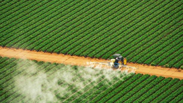 Best Commercial Pest Control Services  in Marseles, IL