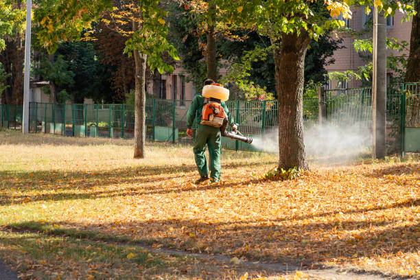 Best Spider Control Near Me  in Marseles, IL
