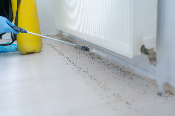 Best Local Pest Control Services  in Marseles, IL