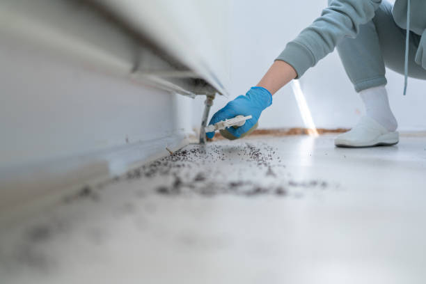 Best Residential Pest Control  in Marseles, IL